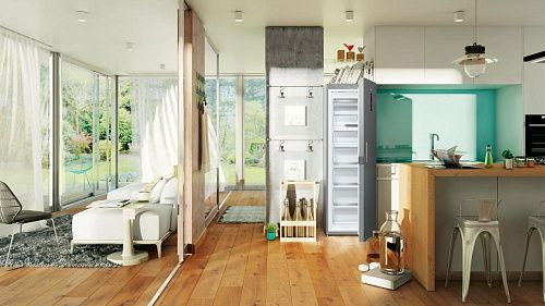 Морозильный шкаф Gorenje FN6192PX