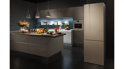 Холодильник с нижней морозильной камерой BOSCH KGN39LQ32R