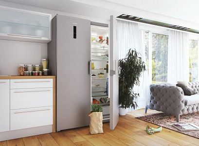 Морозильный шкаф Gorenje FN6192PX