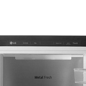 Холодильник без морозильника LG GC-B401FAPM серебристый