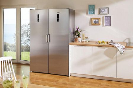 Морозильный шкаф Gorenje FN6192PX