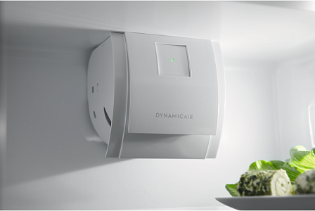 Встраиваемый холодильник Electrolux RNT6TF18S1