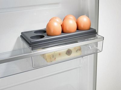 Однокамерный холодильник Gorenje R 6192 LX