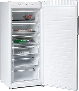Морозильная камера Haier HF260WG