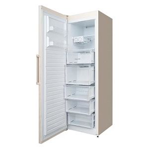 Морозильная камера Schaub Lorenz SLF S265X2