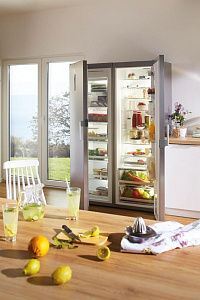 Морозильный шкаф Gorenje FN6192PX