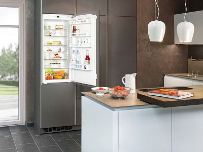 Встраиваемый холодильник Liebherr IK 2320
