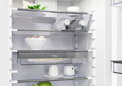Встраиваемый однокамерный холодильник Gorenje GDR5182A1