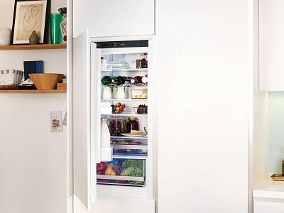 Встраиваемый двухкамерный холодильник Gorenje NRKI4181A1